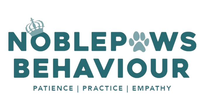 noblepawsbehaviour.co.za